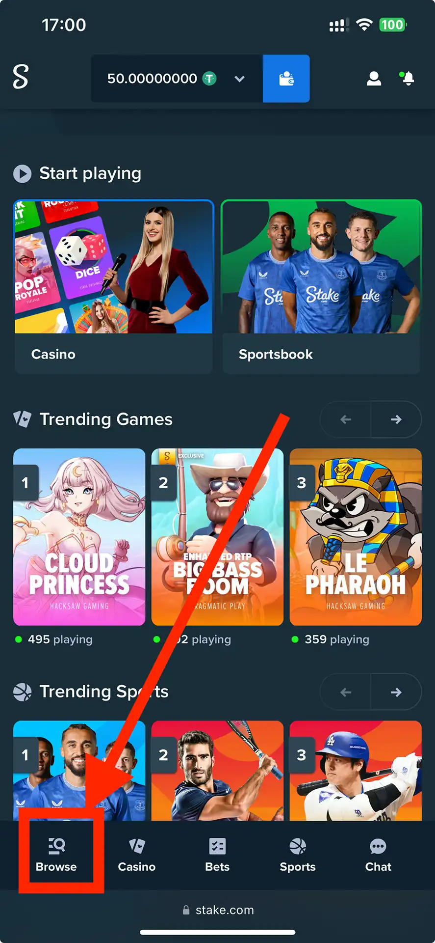 Stake's main screen features casino and bookmaker sections.